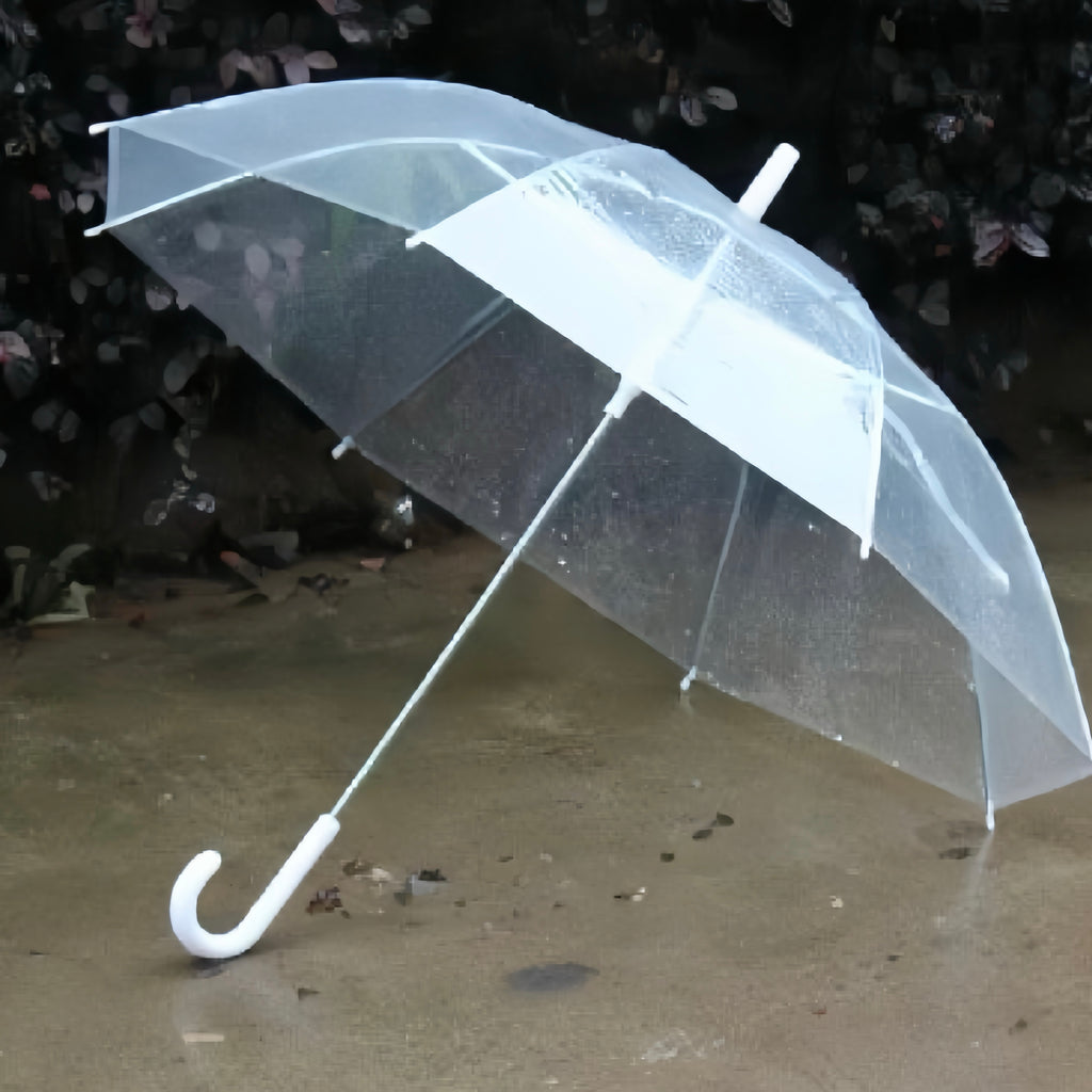 40PC Transparent Multicolour Umbrellas