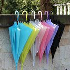 40PC Transparent Multicolour Umbrellas