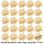 Natural Raffia Fans