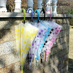 40PC Transparent Multicolour Umbrellas