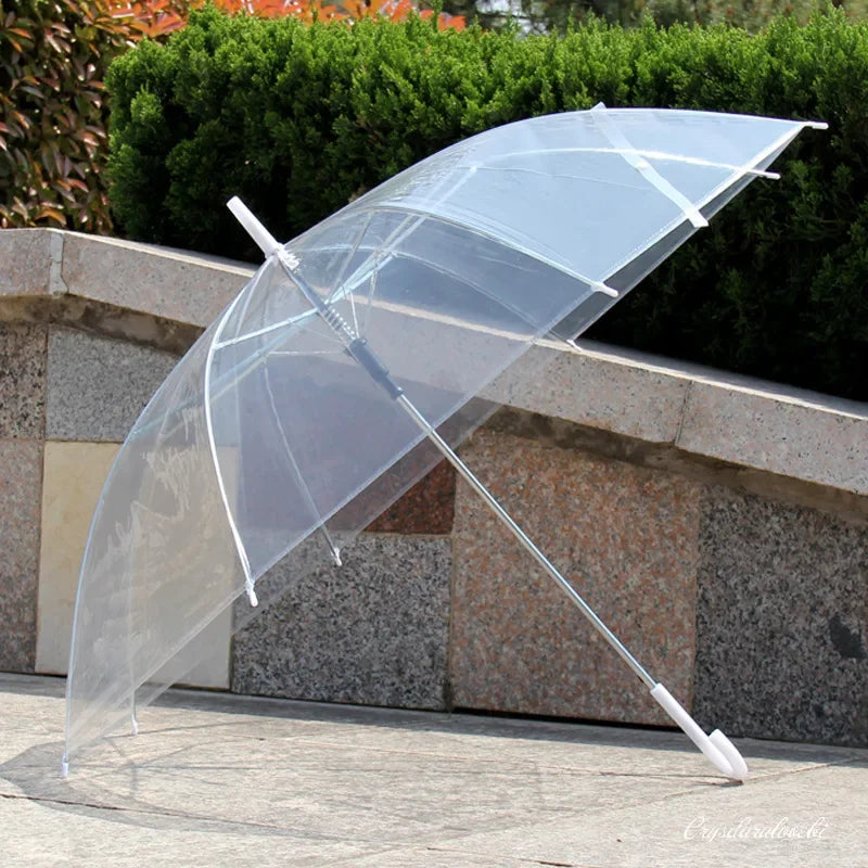 40PC Transparent Multicolour Umbrellas