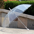 40PC Transparent Multicolour Umbrellas