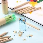 Mini Coloured Pencils With Sharpener