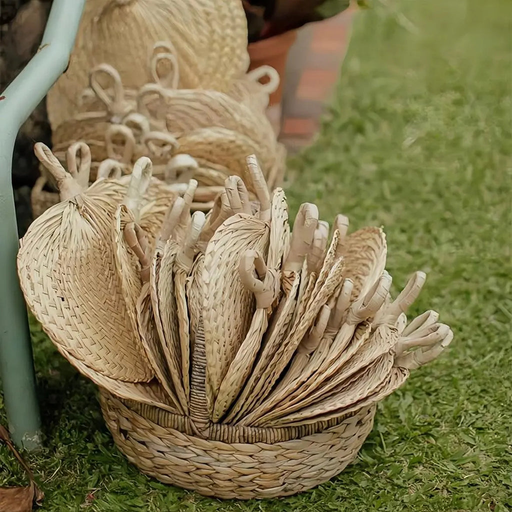 Natural Raffia Fans