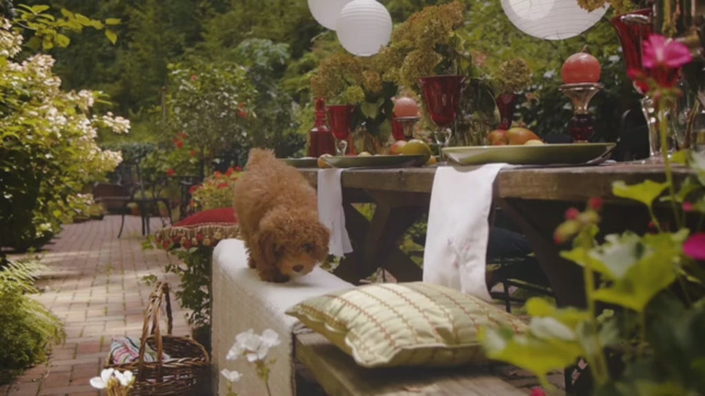 30/50/60PC Mixed 4-12'' Lantern Optional LED Lights